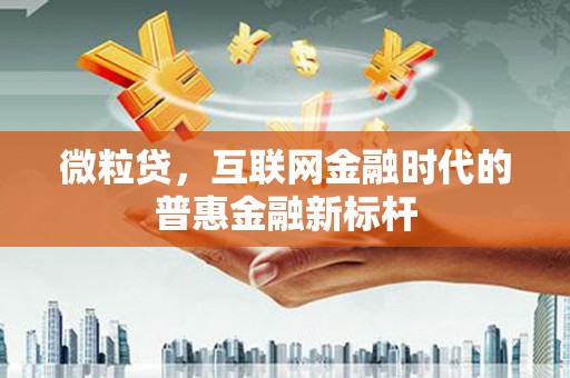 无锡微粒贷，互联网金融时代的普惠金融新标杆