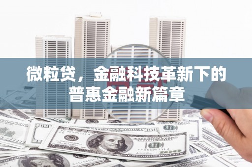 无锡微粒贷，金融科技革新下的普惠金融新篇章