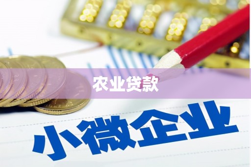 无锡农业贷款