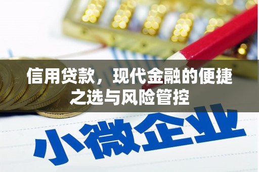 无锡信用贷款，现代金融的便捷之选与风险管控