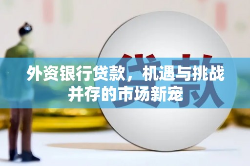 无锡外资银行贷款，机遇与挑战并存的市场新宠