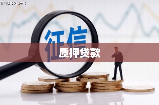 无锡质押贷款