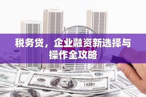 无锡税务贷，企业融资新选择与操作全攻略