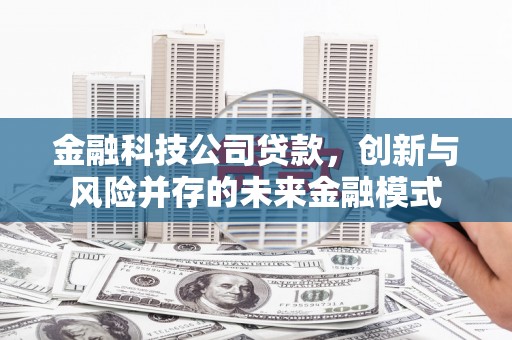 无锡金融科技公司贷款，创新与风险并存的未来金融模式