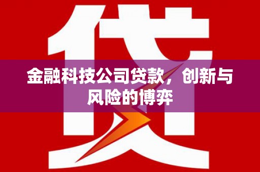 无锡金融科技公司贷款，创新与风险的博弈