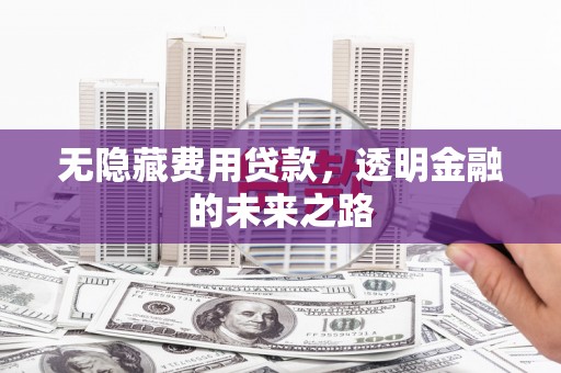 无锡无隐藏费用贷款，透明金融的未来之路