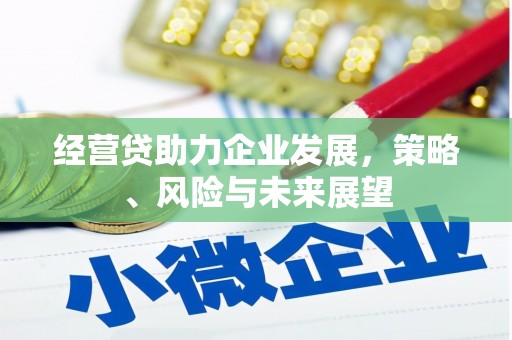 无锡经营贷助力企业发展，策略、风险与未来展望