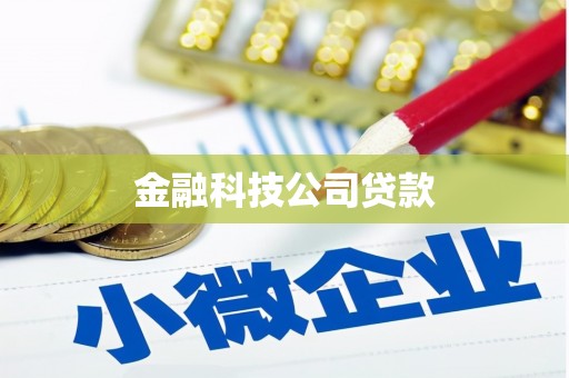 无锡金融科技公司贷款