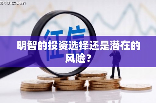 无锡明智的投资选择还是潜在的风险？