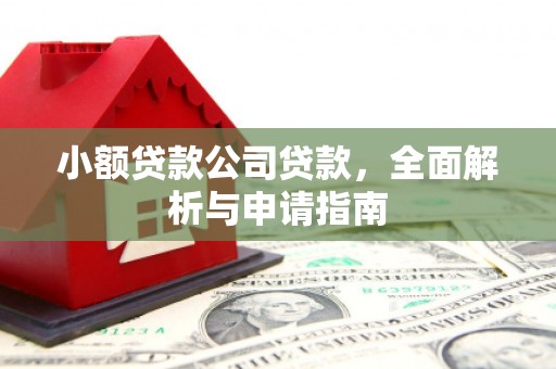 无锡小额贷款公司贷款，全面解析与申请指南