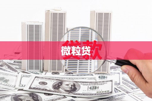无锡微粒贷