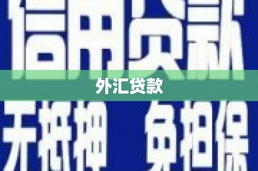 无锡外汇贷款