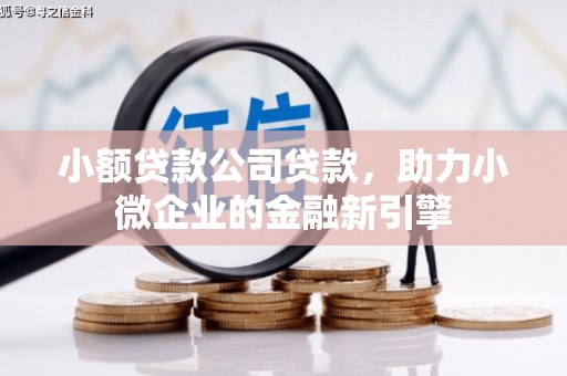 无锡小额贷款公司贷款，助力小微企业的金融新引擎