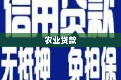 无锡农业贷款