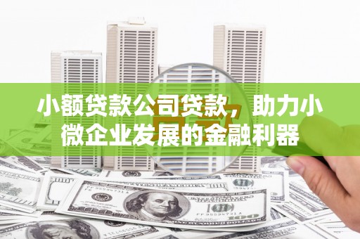 无锡小额贷款公司贷款，助力小微企业发展的金融利器