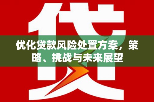 无锡优化贷款风险处置方案，策略、挑战与未来展望