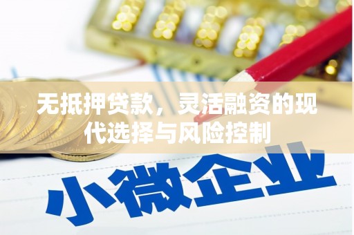 无锡无抵押贷款，灵活融资的现代选择与风险控制