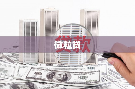 无锡微粒贷
