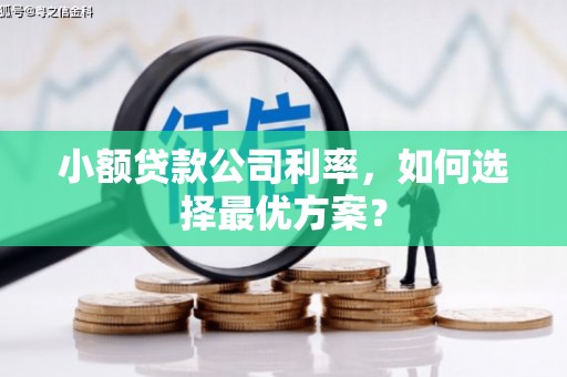 无锡小额贷款公司利率，如何选择最优方案？
