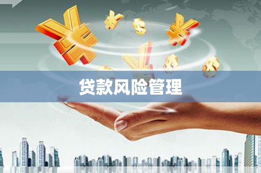 无锡贷款风险管理