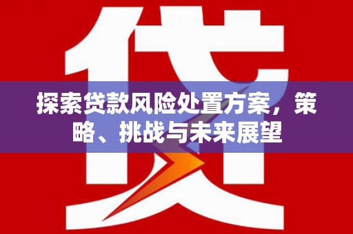 无锡探索贷款风险处置方案，策略、挑战与未来展望