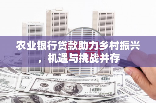 无锡农业银行贷款助力乡村振兴，机遇与挑战并存