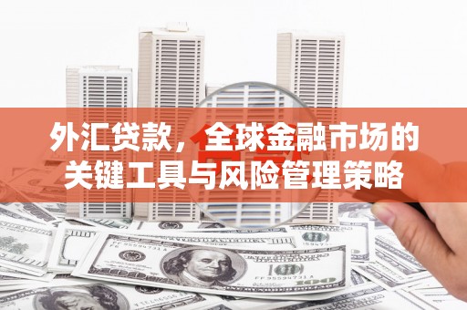 无锡外汇贷款，全球金融市场的关键工具与风险管理策略