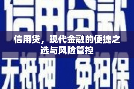 无锡信用贷，现代金融的便捷之选与风险管控