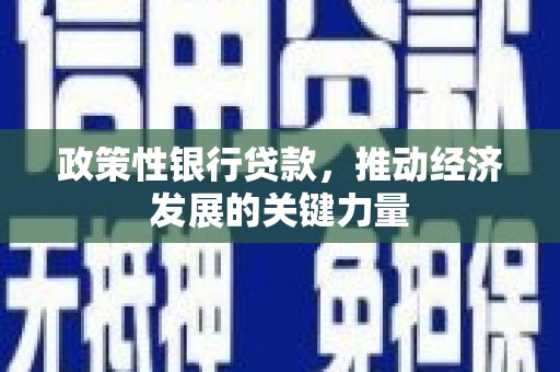 无锡政策性银行贷款，推动经济发展的关键力量