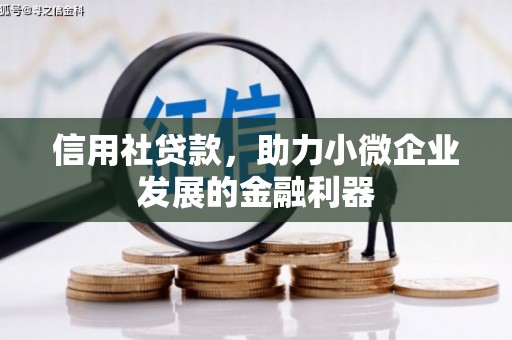 无锡信用社贷款，助力小微企业发展的金融利器