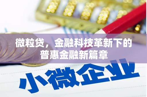 无锡微粒贷，金融科技革新下的普惠金融新篇章