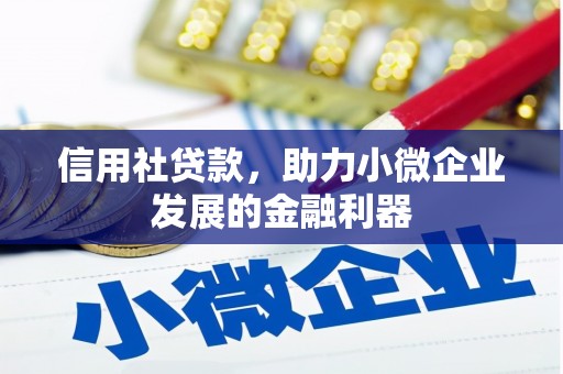 无锡信用社贷款，助力小微企业发展的金融利器