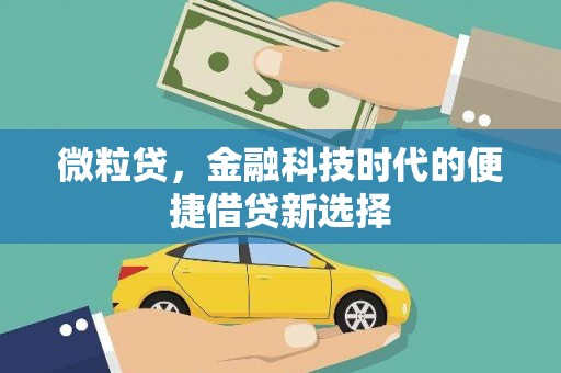 无锡微粒贷，金融科技时代的便捷借贷新选择