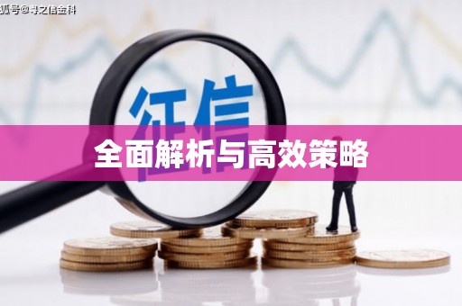 无锡全面解析与高效策略
