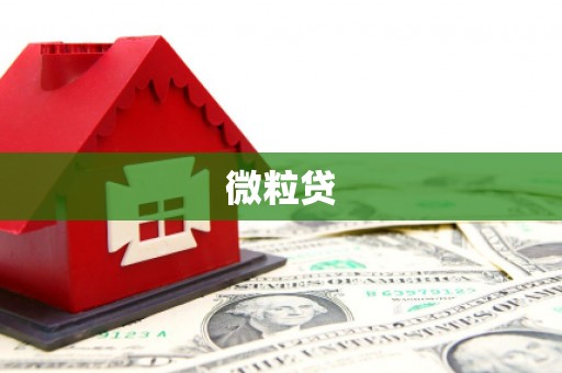 无锡微粒贷