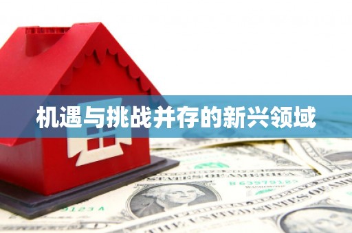 无锡机遇与挑战并存的新兴领域