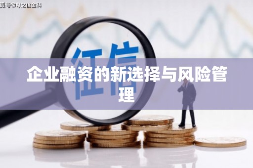 无锡企业融资的新选择与风险管理
