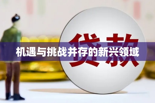 无锡机遇与挑战并存的新兴领域