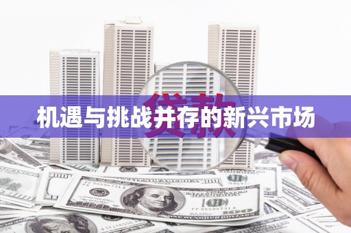 无锡机遇与挑战并存的新兴市场