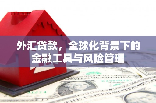 无锡外汇贷款，全球化背景下的金融工具与风险管理